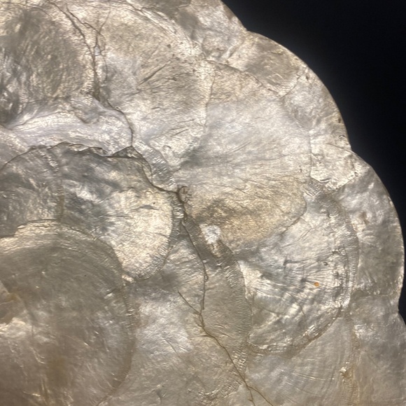 Hallie St Mary Inc Capiz Shell Charger Plates Placemat Set of Three - Picture 7 of 17